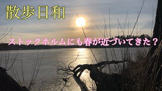 【北欧Vlog】ストックホルムで散歩日和を楽しむ
