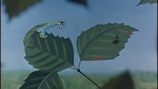 Screenshot preview