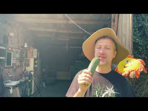 Zahradkaři - ZAhRADKAři - Cukýna (oficiální videoklip)