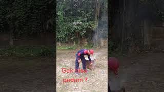 Download lagu Jangan di intip ya .... #edudamkar #damkar #pemadaman mp3