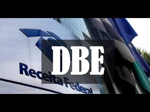 CONSULTA DBE - Documento Básico de Entrada