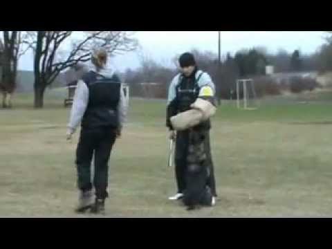 Aischa z Jukasu - protection - 1/2012