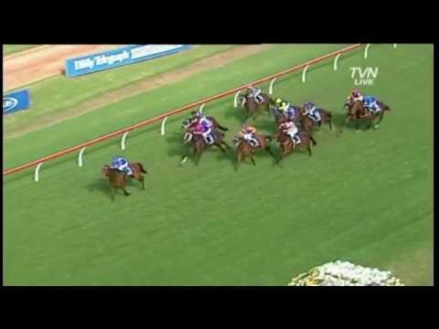 Closing stages 2012 Queen of the Turf - More Joyous Rosehill Gardens