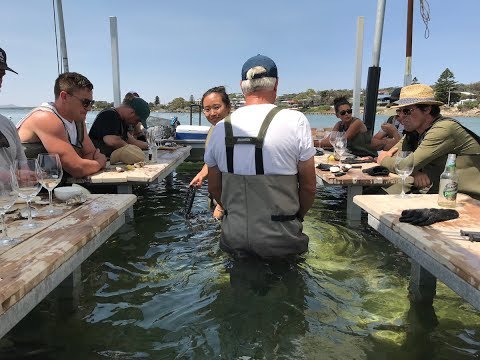 This Coffin Bay Oyster Experience Is Bucket List Material