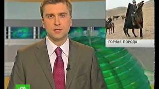 preview picture of video 'Карачаевская порода лошадей'