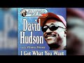 David Hudson - Honey honey