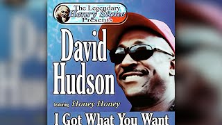 David Hudson - Honey honey