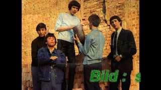 The FORTUNES -- You´ve got your troubles