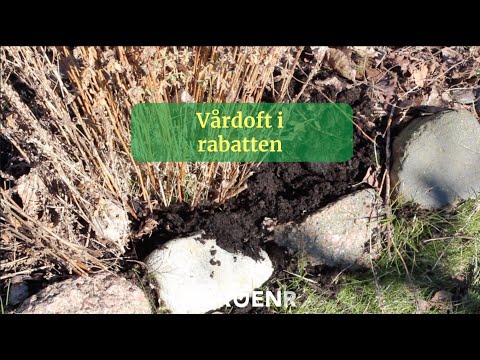 Vårdoft i rabatten - Trädgårdshacks med GardenR