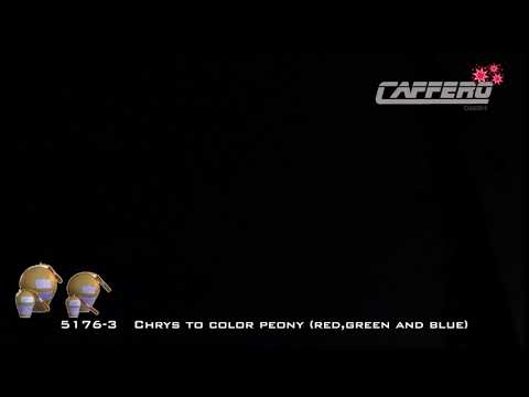 5176 3 Chrys to color peony red,green and blue