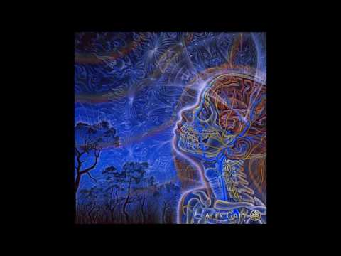 Darkshire vs Detonator - Jetgum