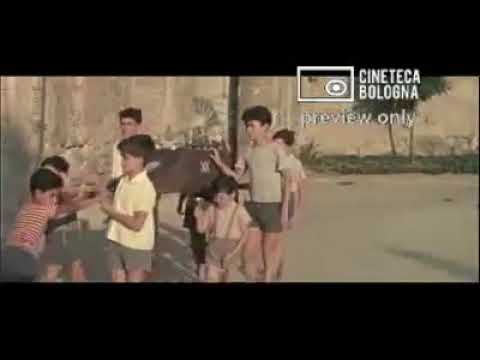 Video Storico: Antichi mestieri tipici esercitati nei rioni più popolari di Palermo