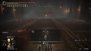 [ELDEN RING] 礼儀正しいアルベリッヒ