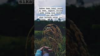 Download lagu story wa terbaru||versi lagu minang[30detik] mp3