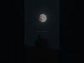 Witt Lowry Into Your Arms Lyrics Ft Ava Max Feels Like I M Always Waitin Shorts Avamax