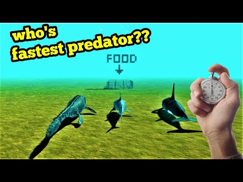 MOSASAURUS VS WHITE SHARK VS ORCA WHO IS FASTEST EAT SALMON animal revolt battle simulator