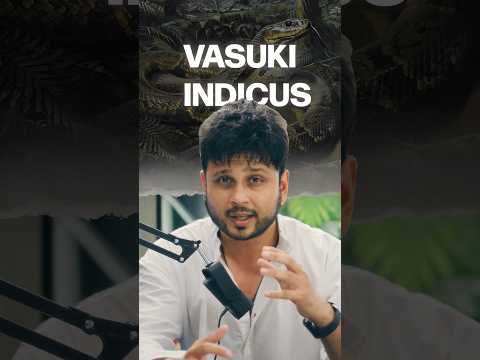 😳🐍World Largest Snake in Gujarat 😳🐍😳 | #shorts