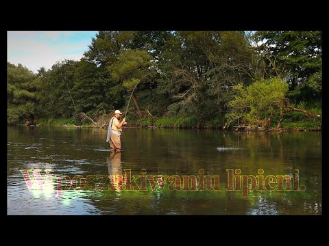 W poszukiwaniu lipieni. cz.1 #Traper