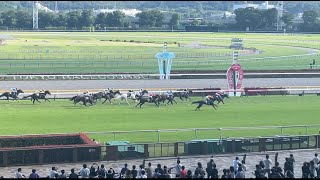 ドラフト第１２回