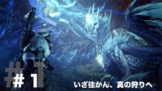 MHW IB#1