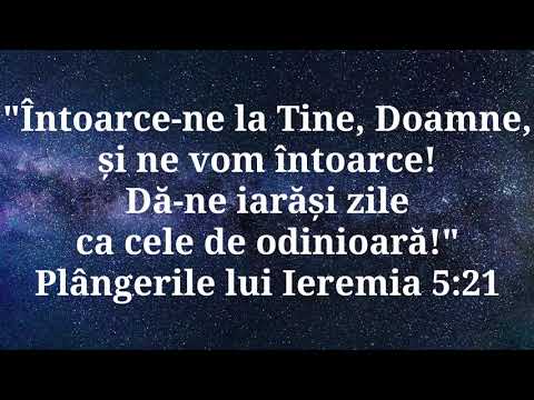 O, unde eşti, o, unde Doamne | Nicolae Moldoveanu | Cântările Harului