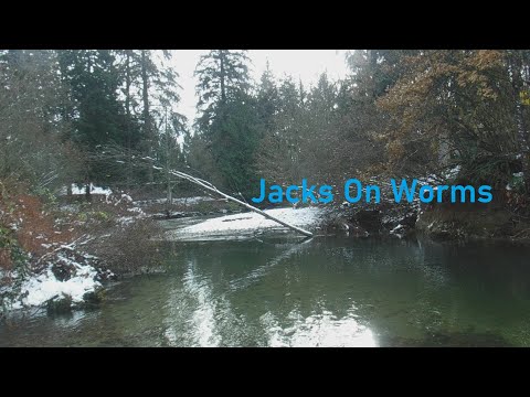Jacks On Worms