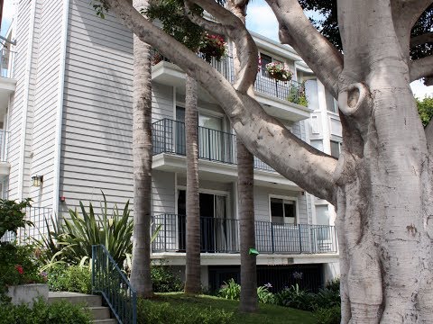 Santa Monica Home For Rent - 3 Bed 2 Bath - by Property Management in Los Angeles CA