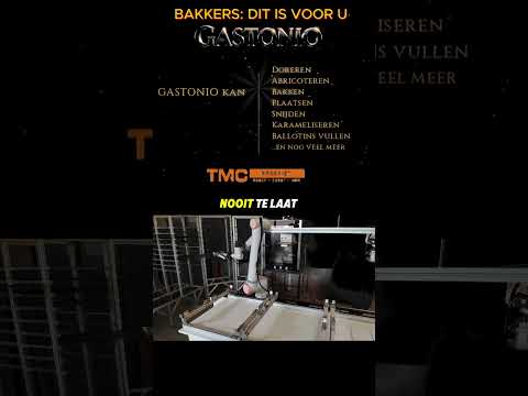 De Gastonio-robot die platen verplaatst