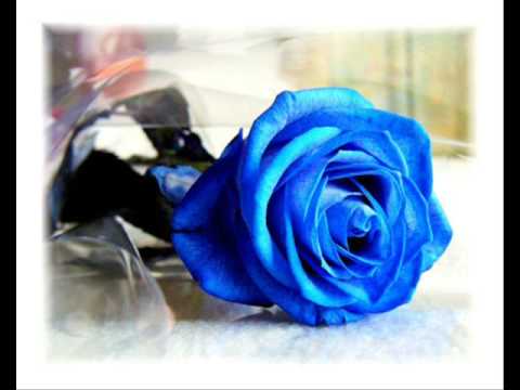 Plava trava zaborava - Jablan