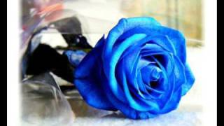 Plava trava zaborava - Jablan