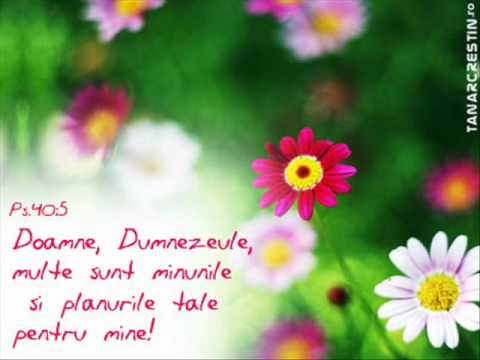 MESAGERII HARULUI EL MA ATINGE