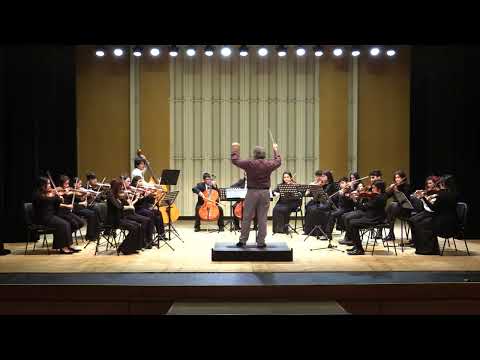 Orquesta de Juvenil Cuerdas Teatro Municipal de San Javier