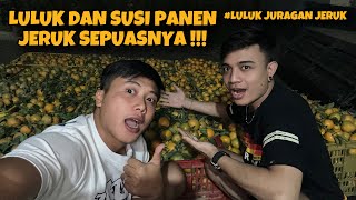 Download lagu LULUK THE ORANGE JURAGAN mp3