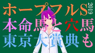 【競馬予想】ホープフルS2019 本命馬と穴馬はこの馬だ！東京大賞典の予想も。