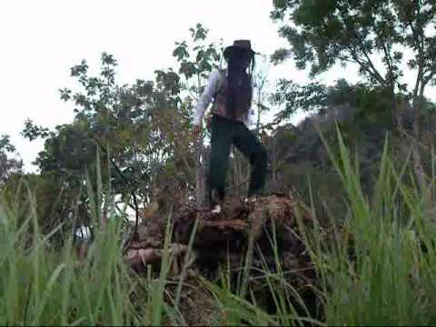 Pure Vibracion - Souljah Boi