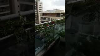 גינה תלויה אדניות על המעקה בחיפה