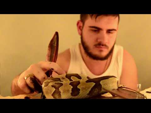 EVA- prod.Enigma Beats