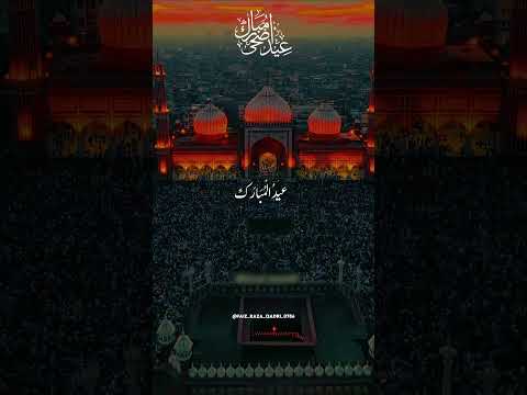 EID AL ADHA MUBARAK HO 🫶🏻💞 #viral #trending #shorts #explorepage #eiduladha #bakraeid #india