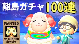 【あつ森】ちゃちゃまる探しの離島ガチャ！ただしトンファンなら即終了