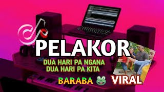 Download lagu DJ VIRAL PELAKOR DUA HARI PANGANA DUA HARI PAKITA ... mp3