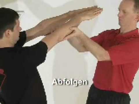 WT Lehr-DVD 8 Trailer von Sifu Niko