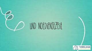 24/7 - Notdienst in der Tierklinik