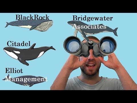 Whalewisdom