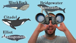Stock Market Whales- Hedge Funds & Institutional Activity Whale Wisdom
