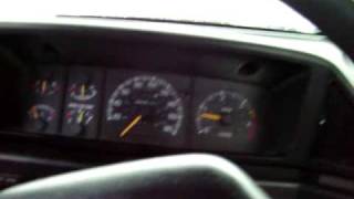 First Snow Storm of 2009