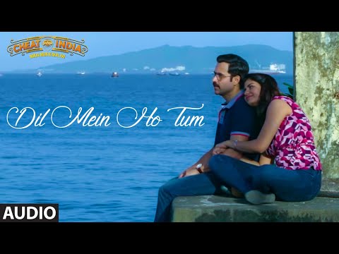 Dil Mein Ho Tum — watch video
