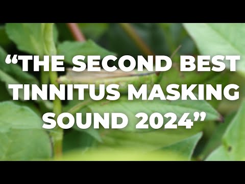 LOSE YOUR TINNITUS With This Cicada Tinnitus Relief Sound Therapy Treatment