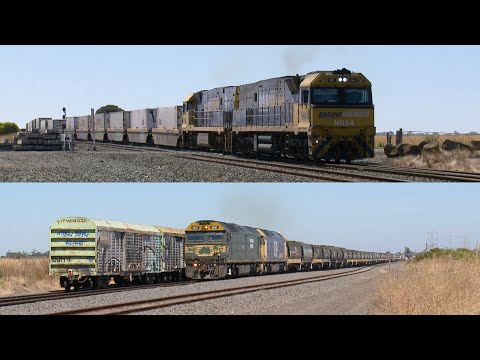 6MP5  Freight Train Crosses 7734V Grain Train (8/2/2021) - PoathTV Australian Railways