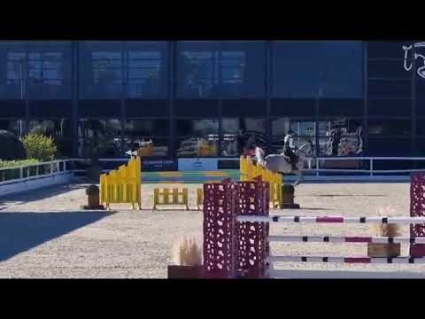 Daddy Cool Ter Linden Z