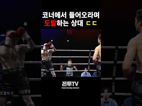 코너에서 들어오라며 도발하는 상대 ㄷㄷ #boxer #복싱